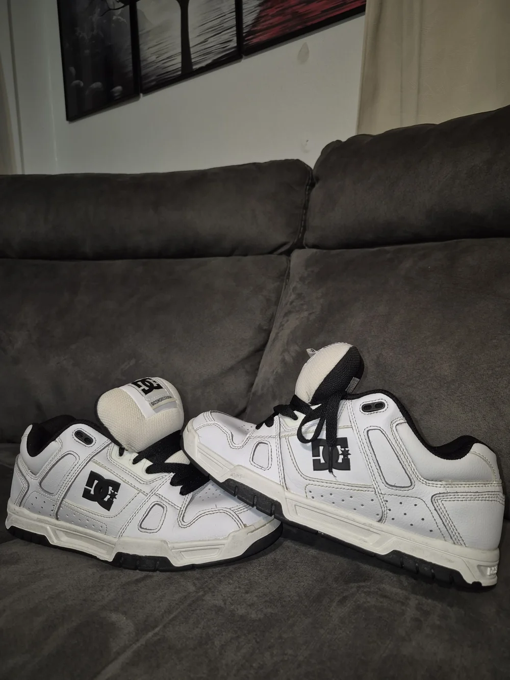 DC White and Black Skate Shoes
